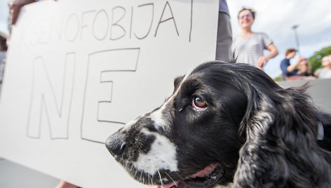 Protesto akcija, siekiant paraginti policiją geriau tirti neapykantos nusikaltimus