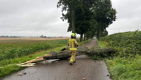 Lenkijos gelbėtojų darbas