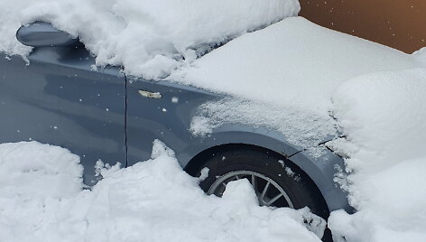 Apsnigtas automobilis. BMW Vilniuje
