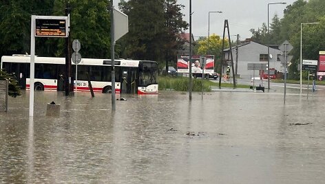 Liūties užpiltas Jast&scaron;embis Zdrujus Lenkijoje