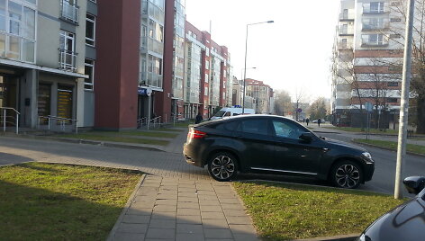 Dainininkės Mios automobilis pastatytas ne pagal taisykles
