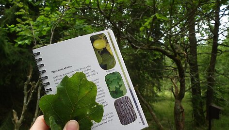 Gamtos lobių paie&scaron;ka &ndash; įdomi pramoga visai &scaron;eimai