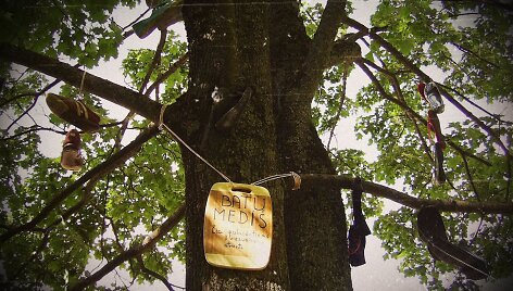 Batų medis