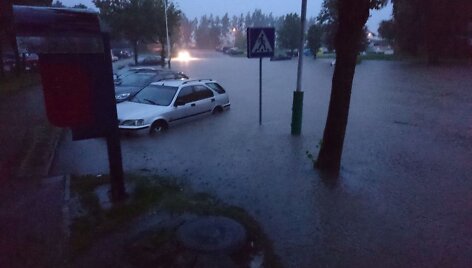 Liūtis Elektrėnuose
