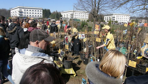 Ką pasėsi...2014