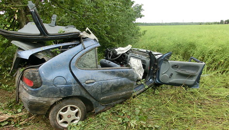 Kėdainių rajone į medį trenkėsi „Renault“