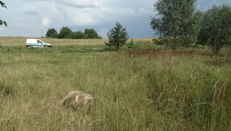 Įvykio vietoje
