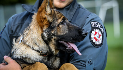 Policija pristatė būsimus tarnybinius &scaron;unis