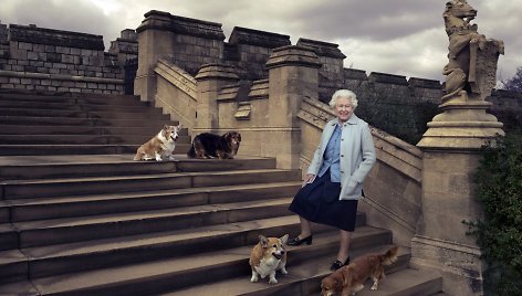 Karalienė Elizabeth II su dviem korgiais ir dviem dorgiais.