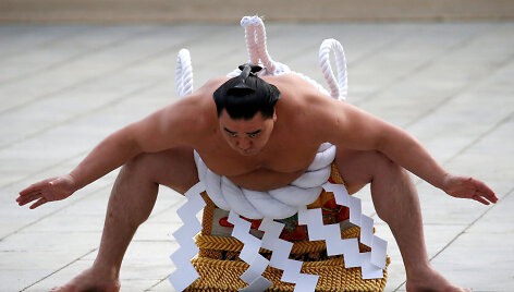 Harumafuji 