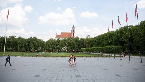 Piketas dėl laisvės kovų monumento statybos