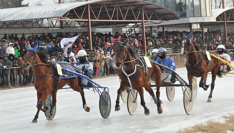 Žirgų lenktynės „Sartai 2014“ 2014 m. vasario 01 d. 