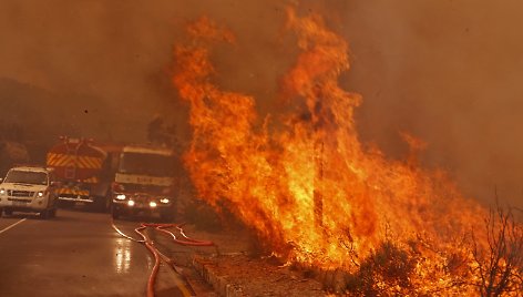 Krūmynų gaisras Pietų Afrikos Respublikoje