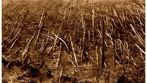 Didžiulis sprogimas 1908 m. birželio 30 d. rytą išguldė medžius prie Akmenuotosios Tunguskos, Vidurio Sibiro taigoje. Iliustracijos šaltinis: tunguska-photo.ru