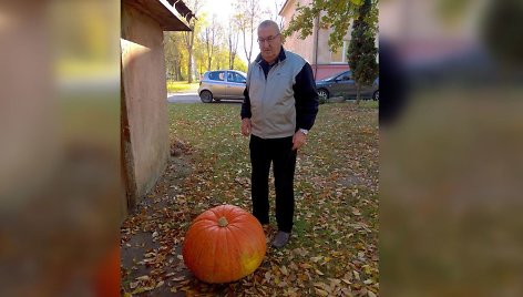 Šį kartą mums paskambinęs skaitytojas Mykolas pasakojo, kad jo dukros darže išaugo dar neregėto dydžio moliūgas