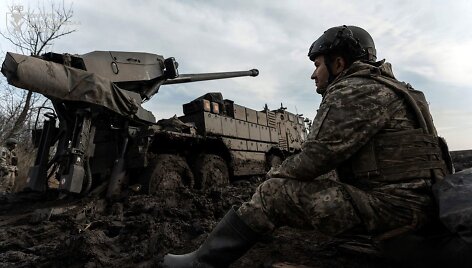 Ukrainos karys