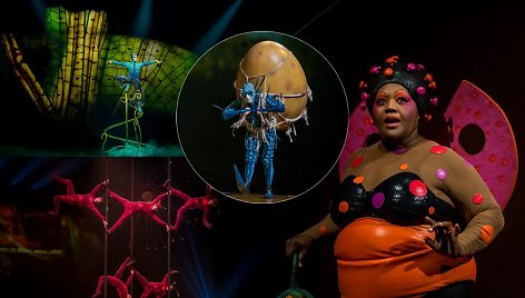 „Cirque du Soleil“ šou OVO premjera Vilniuje