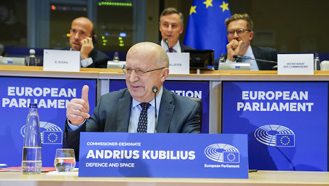 Andriaus Kubiliaus klausymai Europos Parlamente