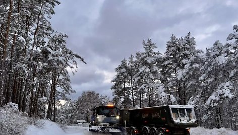 Kelininkai dirba Kuršių nerijoje