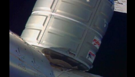 &bdquo;Cygnus&ldquo;