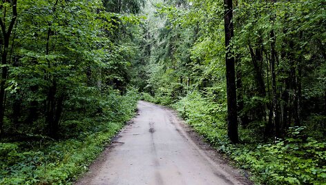 Kelionė dviračiu po Neries regioninį parką