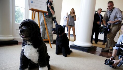 Baracko Obamos &scaron;unys Bo ir Sunny