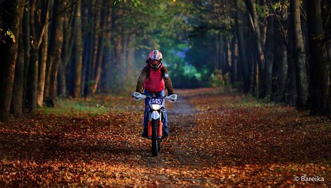 Žemė-ruduo &bdquo;KTM Freeride&ldquo;