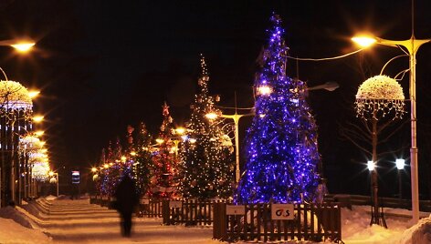 Ir &scaron;iemet J. Basanavičiaus gatvėje nusidrieks eglučių alėja