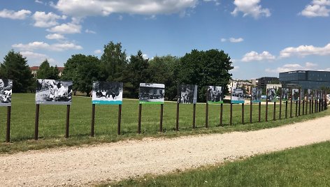 Jubiliejinė zoo paroda Nemuno saloje