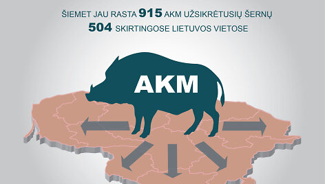 AKM užsikrėtę &scaron;ernai