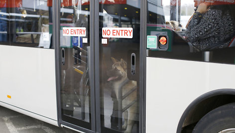 Autobusas Didžiojoje Britanijoje