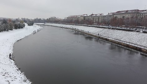 Žvejyba Kauno Nemuno saloje