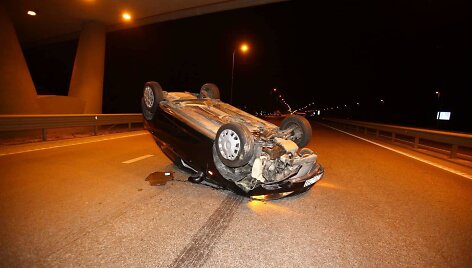 Prie Vilniaus du automobiliai susidūrė su briedžiu.