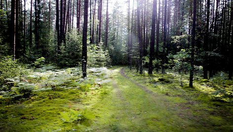 Kelionė dviračiu po Neries regioninį parką