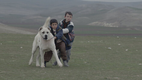 sivas