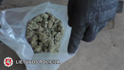 Bylos įkalčiai