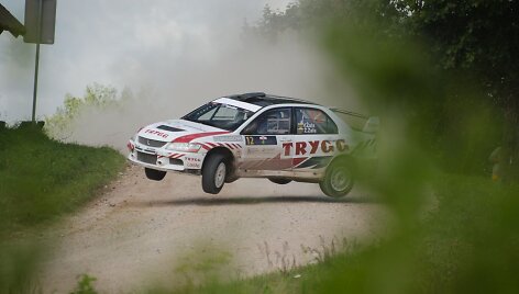 Vaidoto Žalos ir Žygimanto Žalos &scaron;uolis