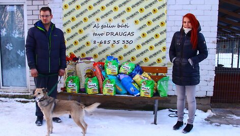 Panevėžio gyvūnų globos draugijos prieglaudoje