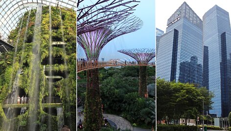 Singapūras