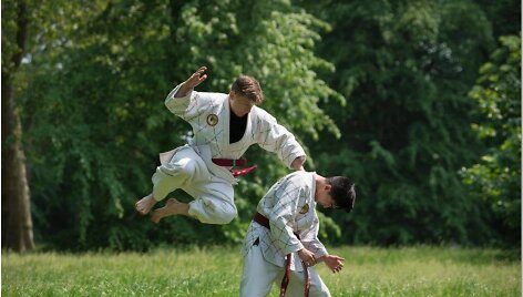 WON HWA DO meistrai atvyksta į Vinių