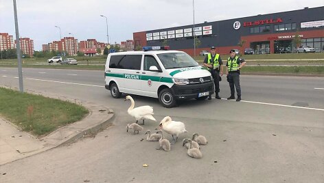 Pareigūnai trumpam sustabdė eismą