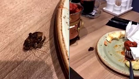 Vilniaus restorano „Gan bei city“ patiekale klientė aptiko tarakoną