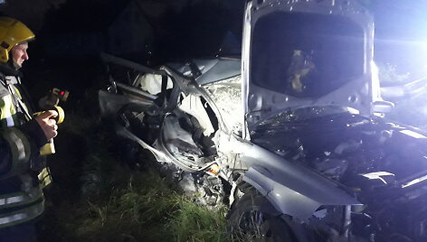 BMW ir &bdquo;Renault&ldquo; avarija Grigaičiuose
