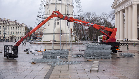 Vilniaus Katedros aikštėje pradėta statyti kalėdinė eglė