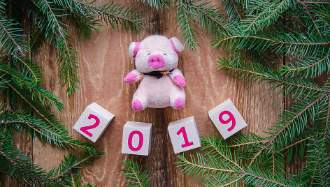 2019-ieji - Kiaulės metai