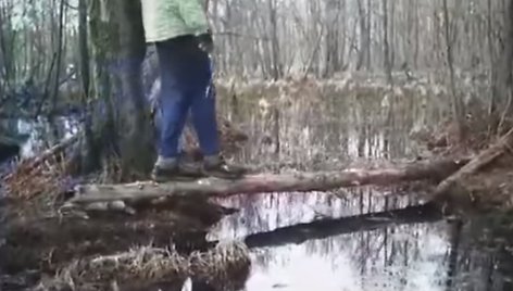 Vaizdo įrašą su pažeidimais paviešinęs parkas įspėja, kad lankytojai sulauks baudų