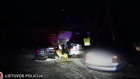 Vaizdo įra&scaron;o stop kadras