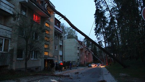 Vilniuje, Mildos gatvėje ant 33 namo vakare užvirto pušis, pralaužė daugiabučio namo stogą, nulaužė elektros stulpus.