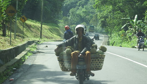 Kelionė Sumatros kalnuose.