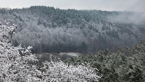 Lengva sniego paklotė apdengė Neries regioninį parką